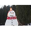 happy young  couple having fun and walking in snow shoes outdoor in nature at beautiful winter day. Health sport and relaxation