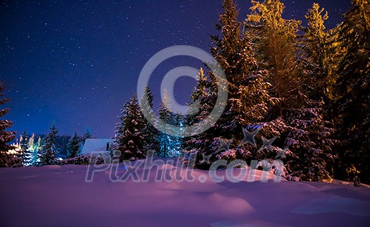 Beautiful winter night landscape with starry sky and snow covered trees