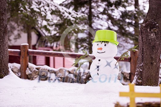 Happy smiling snowman with green hat and carrot nose standing in winter forest