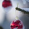 christmas red balls  on pine tree covered with fresh snow