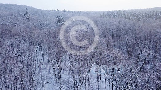 Landscape view of a winter park against a cloudy sky. 4K video, 240fps, 2160p.