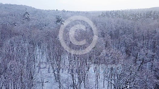 Landscape view of a winter park against a cloudy sky. 4K video, 240fps, 2160p. Landscape view of a winter park against a cloudy sky. 4K video, 240fps, 2160p.