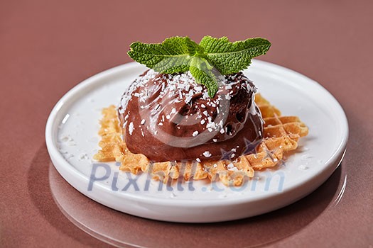 Crispy wafer with a scoop of chocolate ice cream decorated with green mint leaves and coconut chips in a plate on a brown glossy background with space for text. Cold dessert