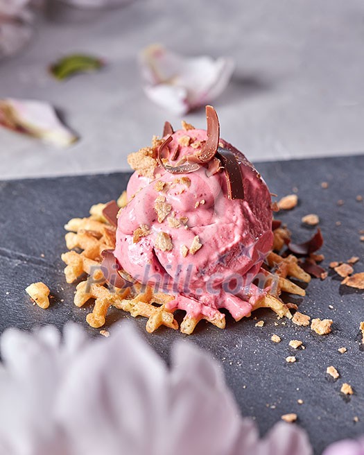 A scoop of berry ice cream on a wafer with chocolate chips on a slate plate on a gray concrete table decorated with petals flower. Sweet dessert A scoop of berry ice cream on a wafer with chocolate chips on a slate plate on a gray concrete table decorated with petals flower. Sweet dessert