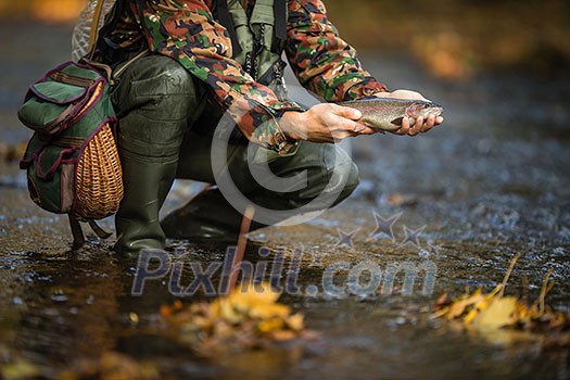 Close-up view of the hands of a fly fisherman holding a lovely trout while fly fishing on a splendid mountain river Close-up view of the hands of a fly fisherman holding a lovely trout while fly fishing on a splendid mountain river