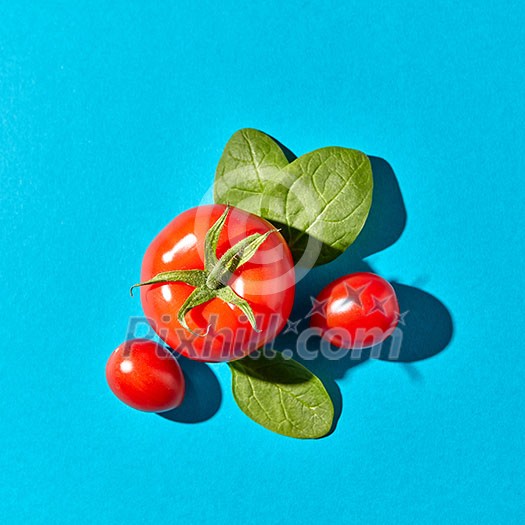 Appetizing organic tomatoes and green spinach leaves with shadow reflection on a blue background with space for text. Ingredients for Healthy Salad. Flat lay
