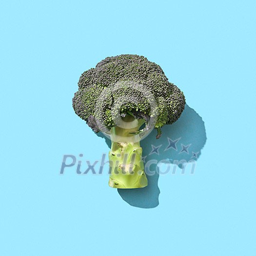 Broccoli is a healthy vitamin vegetable presented on a blue background with copy space and a pattern from the shadows. Vitamin diet food. Top view Broccoli is a healthy vitamin vegetable presented on a blue background with copy space and a pattern from the shadows. Vitamin diet food. Top view