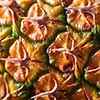 Exotic fruits background of pine apple, close-up view of fruits texture. Top view.