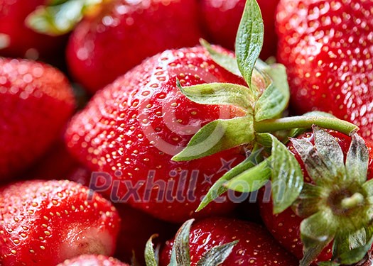 Closeup of healthy ripe strawberry. Organic freshly picked berry with green leaves. Food background.