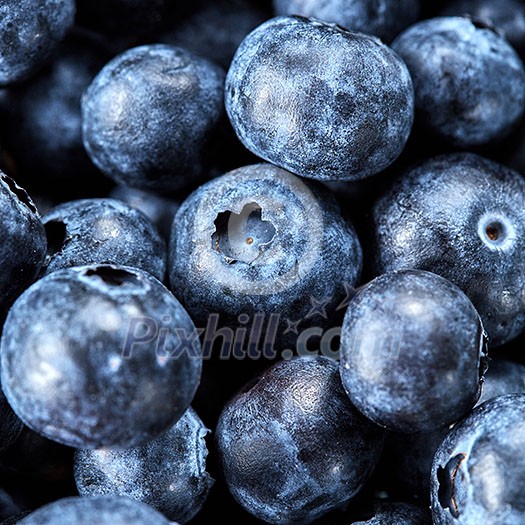 Fresh berries summer macro background. Concept of healhy organic vegetarian clean eating. Top view.
