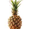 Tropical pineapple (ananas) isolated on white background