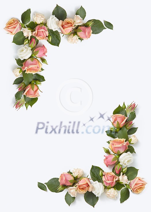 Greeting card with frame from natural organic roses flowers with green leaves on a light grey background, copy space. Flat lay. Valentine's Day concept. Greeting card with frame from natural organic roses flowers with green leaves on a light grey background, copy space. Flat lay. Valentine's Day concept.