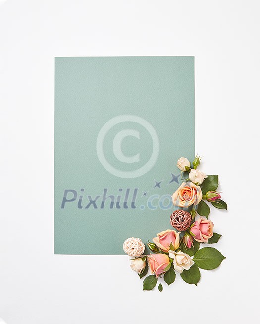 Flowers congratulation card with blossoming roses flowers and green leaves on a light grey background, copy space. Valentine's Day concept.