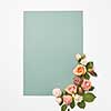 Flowers congratulation card with blossoming roses flowers and green leaves on a light grey background, copy space. Valentine's Day concept.