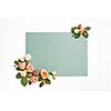 Decoration from natural blossoming roses flowers with green leaves on a light grey background, copy space. Congratulation card for birthday.