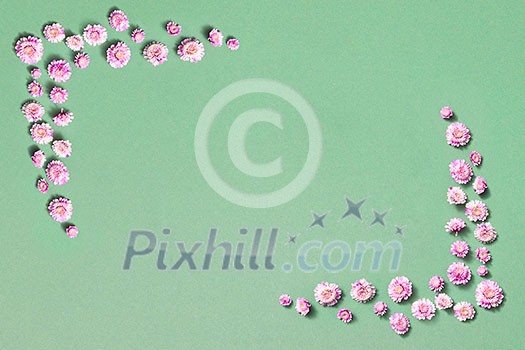 Greeting corners frame from pink flowers on a light green background with copy space. Flat lay. Postcard for Valentine's Day. Greeting corners frame from pink flowers on a light green background with copy space. Flat lay. Postcard for Valentine's Day.