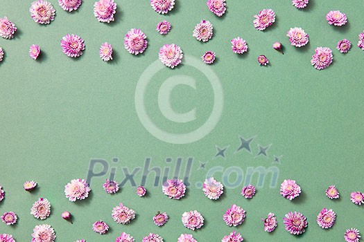 Greeting frame from little pink flowers on a light green background with copy space. Flat lay. Postcard for Valentine's Day.