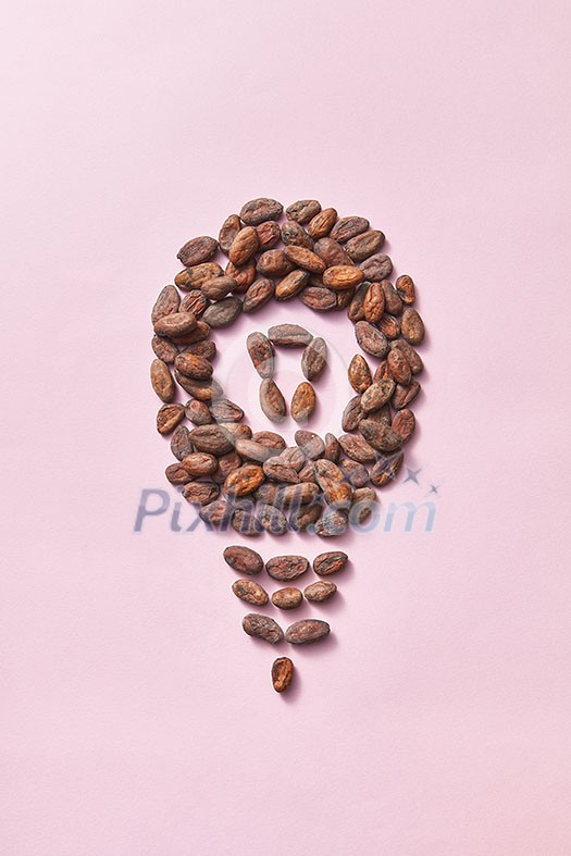 Shape of light bulb made from natural organic dry cocoa beans on a light pink background with copy space. Effect of improved human brain activity from chocolate. Shape of light bulb made from natural organic dry cocoa beans on a light pink background with copy space. Effect of improved human brain activity from chocolate.