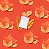 Congratulation fall pattern with blank white card and multicolored organic leaves on a coral background with copy space. Flat lay.