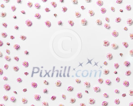 Greeting card from blooming small pink beautiful flowers and rectangular place for text. Flat lay. Valentine's Day concept.