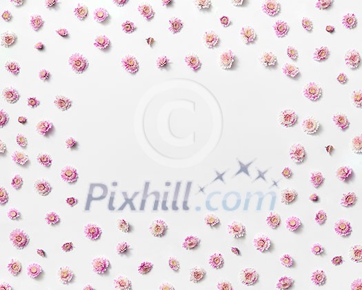 Greeting card from blooming small pink beautiful flowers and rectangular place for text. Flat lay. Valentine's Day concept. Greeting card from blooming small pink beautiful flowers and rectangular place for text. Flat lay. Valentine's Day concept.