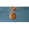 Slowly falling of fresh organic juicy apple with splashing into glass water aquarium on a grey background. Slow motion 2K video.