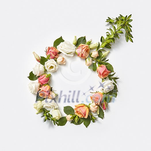 Gender symbol sign of man handmade from flowers and green branch of plant on a light grey background, copy space. Top view. Gender symbol sign of man handmade from flowers and green branch of plant on a light grey background, copy space. Top view.