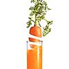 Organic natural fresh carrot root with green leaf in the glass of juice on a white background, copy space. Vegetarian concept.