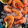 Raw prawns with lemon on ice, close-up