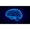 Science image with human brain on blue background
