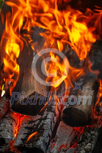Close-up view of burning firewood in the fireplace with copy space. Can be used for your creativity.