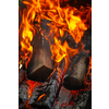 Close-up view of burning firewood in the fireplace with copy space. Can be used for your creativity.