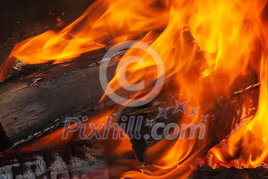 Open fire burning woods background with copy space. Close up view. Can be used for your creativity.