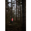 Young woman running outdoors in a forest, going fast (motion blurred image)