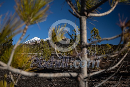 Peaks of Teide and Pico Viejo volcanoes at sunset seen from the Samara crater. Teide National Park, Tenerife, Canary Islands, Spain Peaks of Teide and Pico Viejo volcanoes at sunset seen from the Samara crater. Teide National Park, Tenerife, Canary Islands, Spain