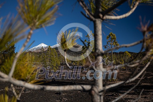 Peaks of Teide and Pico Viejo volcanoes at sunset seen from the Samara crater. Teide National Park, Tenerife, Canary Islands, Spain