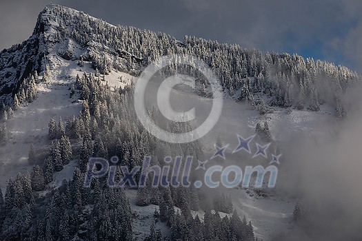 Awesome winter landscape with spruces covered in snow. Frosty day, exotic wintry scene. Magic Carpathian mountains, Ukraine, Europe. Winter nature wallpapers. Splendid christmas scene. Awesome winter landscape with spruces covered in snow. Frosty day, exotic wintry scene. Magic Carpathian mountains, Ukraine, Europe. Winter nature wallpapers. Splendid christmas scene.