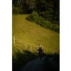 Handsome young man biking on a mountain bike enjoying healthy active lifestyle outdoors in summer (shallow DOF)