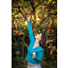 Cute young woman picking apples in an orchard having fun harvesting the ripe fruits of her family's labour(color toned image)