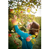 Cute young woman picking apples in an orchard having fun harvesting the ripe fruits of her family's labour(color toned image)