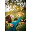 Cute young woman picking apples in an orchard having fun harvesting the ripe fruits of her family's labour(color toned image)