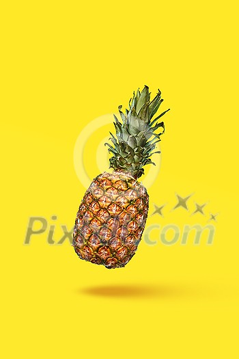 Pattern of slices and whole tropical pineapple fruit on a blue background with space for text. Flat lay