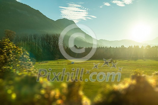 Amazing light rural landscape with mountains green fields and blurred plants on a forefront on a background of clear sunny sky, Austria.