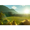 Amazing light rural landscape with mountains green fields and blurred plants on a forefront on a background of clear sunny sky, Austria.