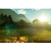 Beautiful natural countryside landscape with trees, mountains, green fields, areas and blurred forefront on a background of sunny blue sky, Austria.