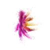 Abstract splash from multicolored powder or dust in the shape of flower on a white background, copy space.