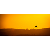 White stork flying in the sky at sunset