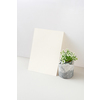 Creative modern from natural fresh houseplant in blossom and vertical paper sheet against light grey background, copy space. Natural eco concept.