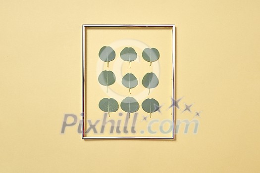 Decorative festive card with frame of evergreen fresh natural leaves of Eucalyptus plant on a sand yellow background, copy space. Greeting card. Decorative festive card with frame of evergreen fresh natural leaves of Eucalyptus plant on a sand yellow background, copy space. Greeting card.