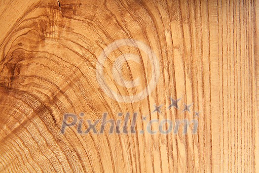 Blank wooden textured backdrop as a natural cut logs background, copy space. Blank wooden table. Can be used for your creativity. Blank wooden textured backdrop as a natural cut logs background, copy space. Blank wooden table. Can be used for your creativity.